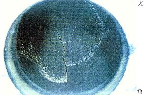 Another crack found in pipe of Tsuruga nuclear reactor